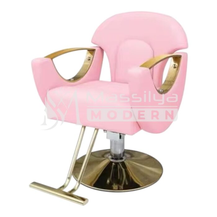 Fauteuil de Coiffure Professionnel Design Luxe (Suite) – Image 4