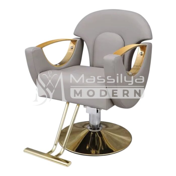 Fauteuil de Coiffure Professionnel Design Luxe (Suite) – Image 2