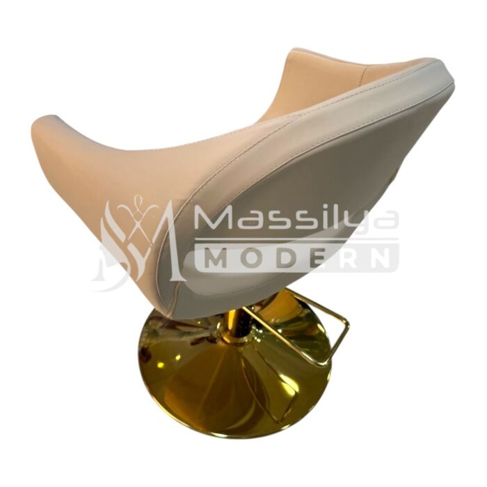 Fauteuil Professionnel de Coiffure – Design Ergonomique & Base Gold – Image 9