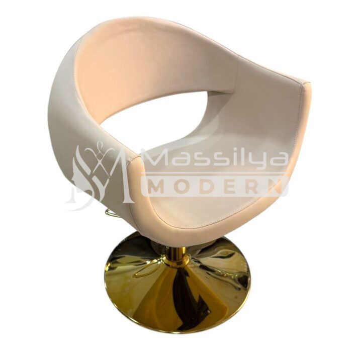 Fauteuil Professionnel de Coiffure – Design Ergonomique & Base Gold – Image 5