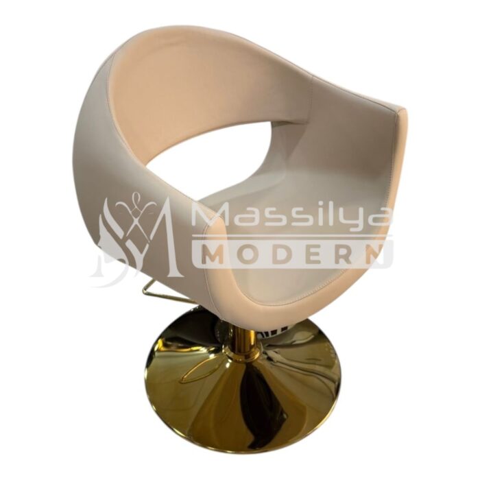Fauteuil Professionnel de Coiffure – Design Ergonomique & Base Gold – Image 2