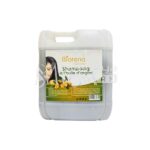 Biorena Shampoing à l’huile d’argan 5L