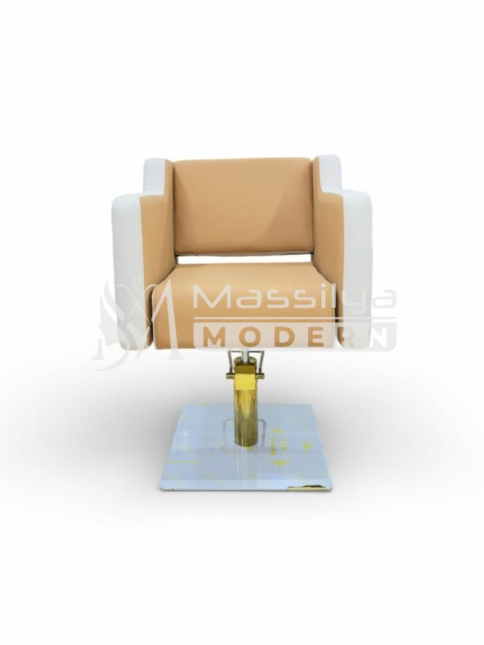 Fauteuil Professionnel de Coiffure Base Gold & Pompe Hydraulique Renforcée – Image 4