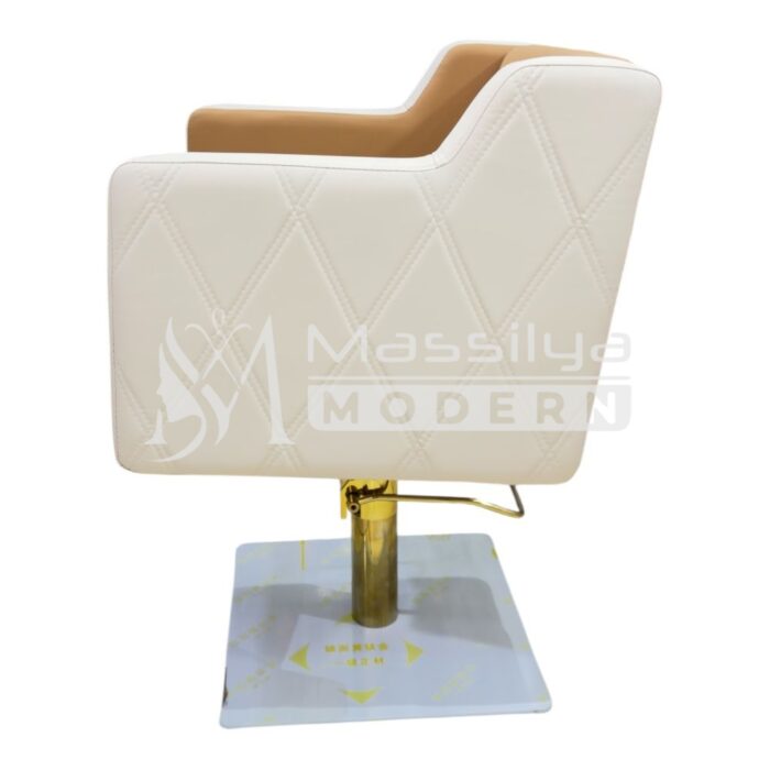 Fauteuil Professionnel de Coiffure Base Gold & Pompe Hydraulique Renforcée – Image 3